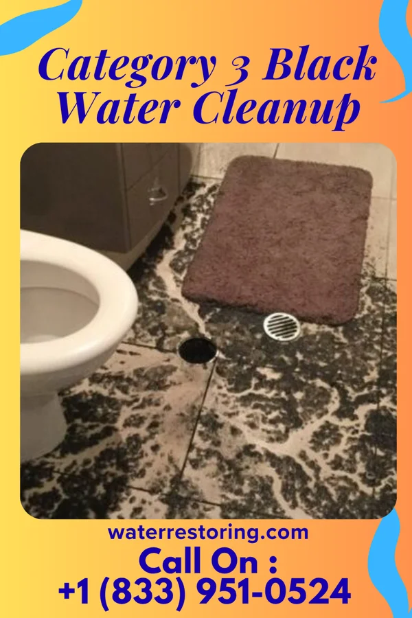 Category 3 Black Water Cleanup in Silverthorne, CO